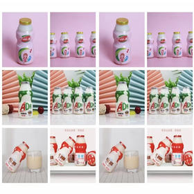 【7.5元/包】致养乳酸菌饮品100ml*12瓶