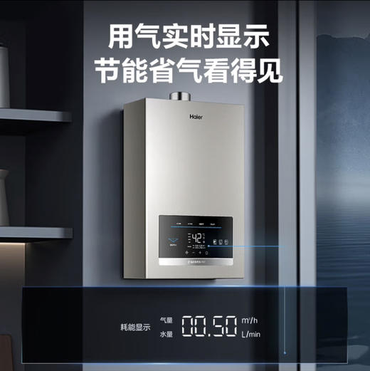 海尔（Haier）热水器JSQ31-16FX3U1 商品图6