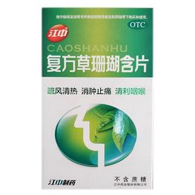 江中 复方草珊瑚含片（不含蔗糖）