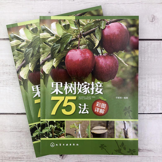果树嫁接75法彩图详解 商品图1