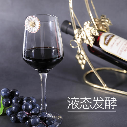 【中欧班列精选】意大利安诺尼摩德纳黑醋 原装进口食用沙拉葡萄酒酿造 500ml/1瓶 商品图1