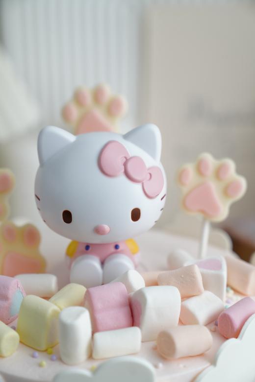 云朵猫咪 商品图2