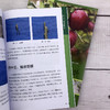 果树嫁接75法彩图详解 商品缩略图4