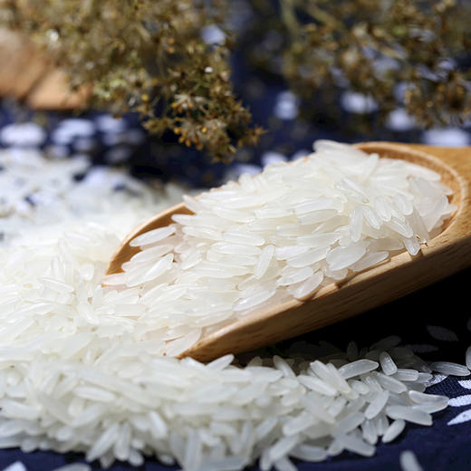 十堰丹江口 永乐武当 武当生态米5kg/袋 商品图3