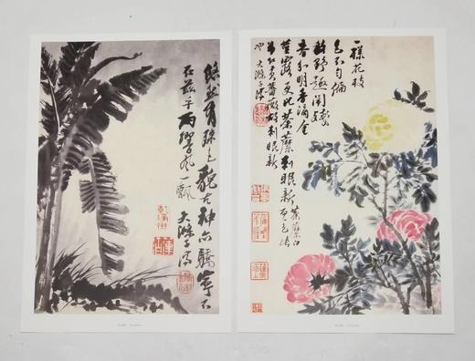 中国好丹青：愿大级高清完整册页 《石涛》，小8开，单页，共40页，四川美术出版社2015年版，定价68，售价28，品9成 商品图8