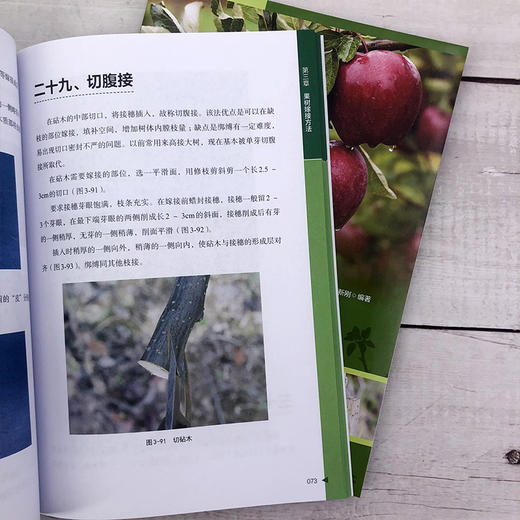 果树嫁接75法彩图详解 商品图5