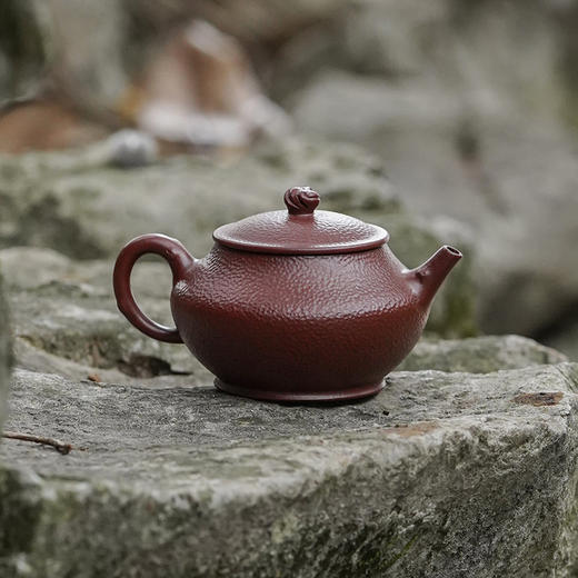 龙德堂陶艺《捶金·四大名园系列之拙政园》原矿紫朱泥 150cc 库存请咨询客服 商品图0
