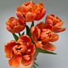 精品花材香橙挞重瓣郁金香9支 商品缩略图5