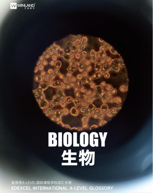 【暑期预学】爱德思A-Level五大热门学科词汇手册（电子版） 商品图4