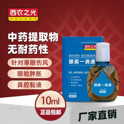 【眼疾一滴通】新包装10ml鹦鹉赛信鸽子药眼睛流泪单眼伤风衣原（西农之光鸽药） 商品图0