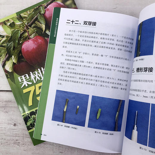 果树嫁接75法彩图详解 商品图8