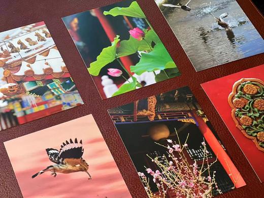 《故宫之美》，一函共112张明信片，王琎摄影，全彩精印，浙江人民美术出版社2019年一版一印。定价138，售价84元。 商品图10