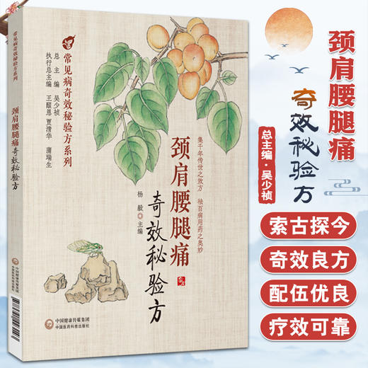 颈肩腰腿痛奇效秘验方 常见病奇效秘验方系列 杨毅 主编 中国医药科技出版社 9787521423143 商品图0