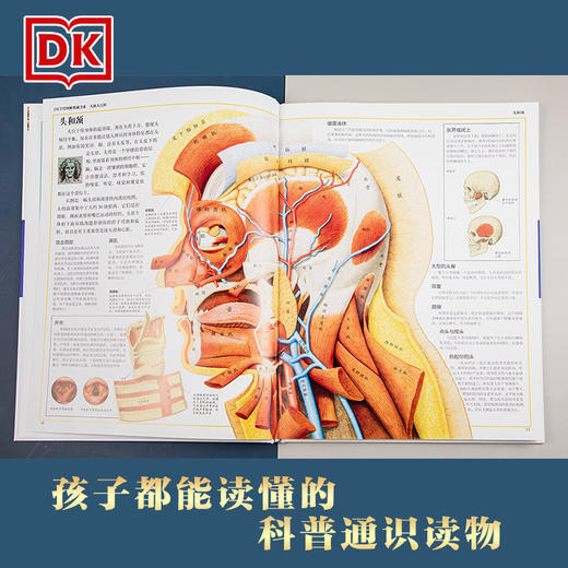 人体大百科 商品图2