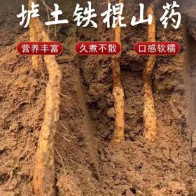 （温县直发）垆土地铁棍山药 | 河南焦作温县种植，口感软糯香甜，自带山药清香