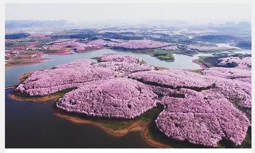 3月民俗节庆—弥勒祭火节： 云贵花“火”——云南罗平油菜花、九龙瀑布、螺丝田、弥勒祭火节+贵州平坝樱花、毕节九洞天、兴义万峰林、马岭河大峡谷摄影采风团4—10天 商品图10