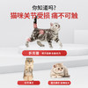 【双12专属活动】谷登关节宝1.6g*8粒*3版  （犬猫通用) 商品缩略图3
