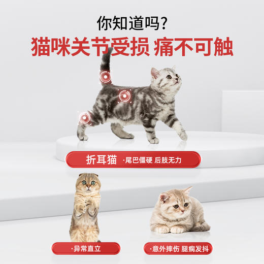 【双12专属活动】谷登关节宝1.6g*8粒*3版  （犬猫通用) 商品图3