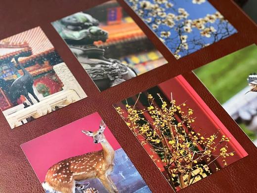 《故宫之美》，一函共112张明信片，王琎摄影，全彩精印，浙江人民美术出版社2019年一版一印。定价138，售价84元。 商品图6