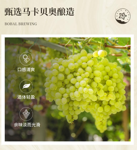 【优惠平价】玛丽亚海之情半甜白葡萄酒750ml*6，限时赠送海马刀*1 商品图7