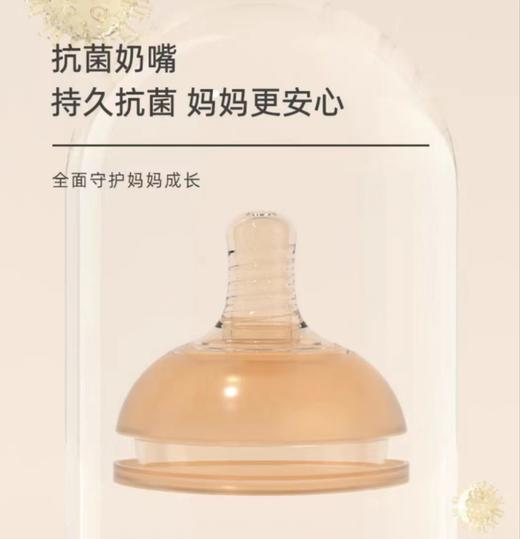 【清仓】9楼母婴生活馆兔子贝贝新生奶嘴婴儿母乳抗菌防胀气防呛宽口径奶嘴2个装吊牌价：58元活动价：35元 商品图0