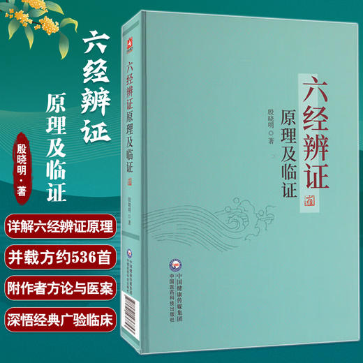 六经辨证原理及临证 殷晓明著 六经生理病理证治方法 方剂方论医案 适用于临床医师科研工作者 中国医药科技出版社9787521436853 商品图0