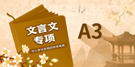 【豆伴匠】A系列-文言文专项 商品图2