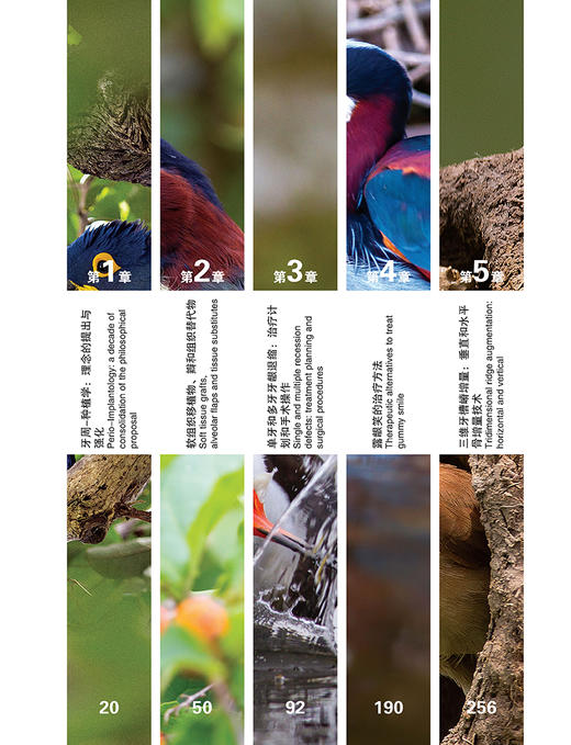 美学区牙周种植手术精要 张海东 刘琦主译 牙龈退缩治疗计划手术操作 露龈笑治疗方法 口腔种植 辽宁科学技术出版社9787559127921 商品图2