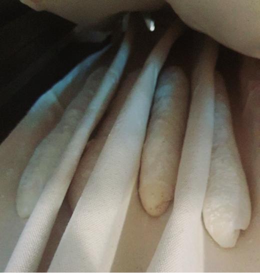 【茶馆茶点】法棍丨无油无糖，健康新选择  排单现做现发 （满90元包邮） 商品图1