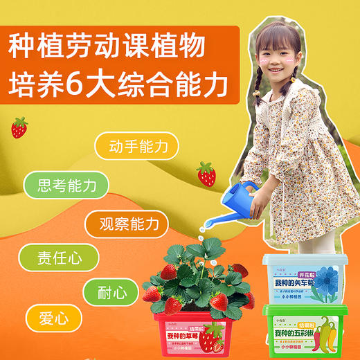 小花农我种的植物系列种植套装9610 商品图5