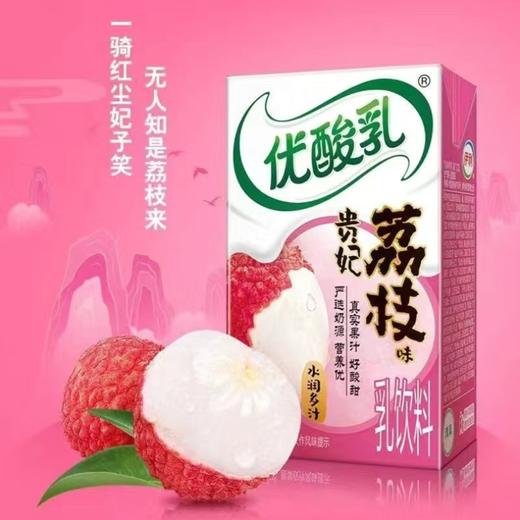 伊利优酸乳贵妃荔枝味 250ml*24盒/箱 商品图1