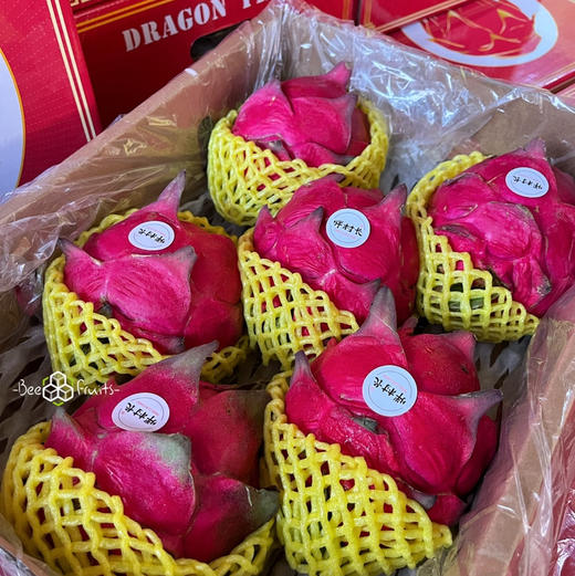 【大蜜宝】胖村长 大蜜宝红心火龙果，花青素抗氧化功能强劲，常食有益健康！ 商品图4