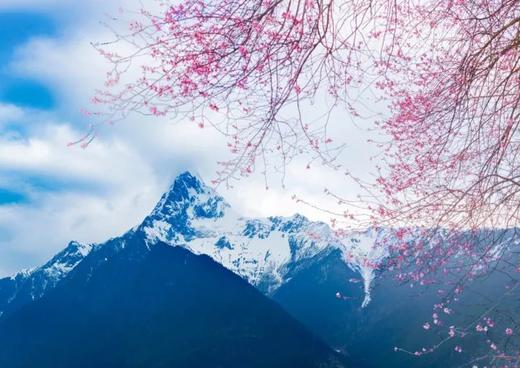 （越野车）春色藏美旅行：西藏江南-林芝、波密桃花雪山、墨脱+藏北江南-尼屋乡桃花12天 商品图2