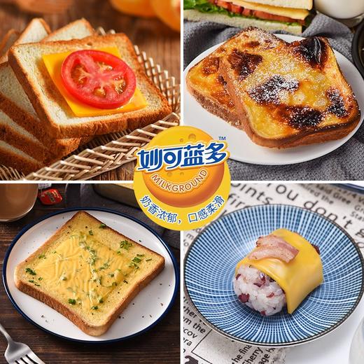 460g（40片） 妙可蓝多 车达奶酪片（黄） 芝士片 汉堡三明治奶酪棒原料 商品图4