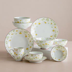 爆款清淘，餐具锅具厨用具，使用率超高