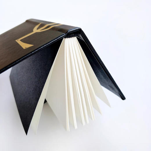 专柜会员礼！YSL黑金限量手账日记本办公室随身笔记本 商品图1