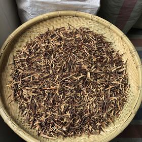 皂角刺 常用规格 皂刺切片 天丁