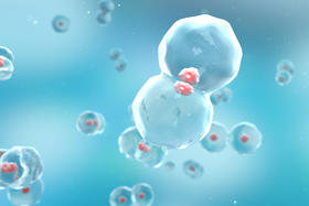 @所有人丨请查收熟龄肌的护肤指南！