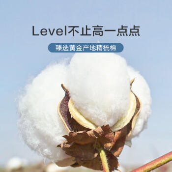 京东京造【已售300w件】男士t恤短袖男女同款衣服男装春夏打底衫白色L 商品图3