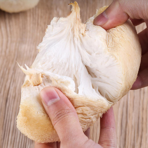 新鲜猴头菇是中国八大“山珍”之一 自古就有“山珍猴头，海味燕窝”之说，与熊掌、海参和鲨鱼翅并列为四大名菜  肉嫩味香，鲜美可口，营养丰富，色、香、味上乘。顺丰包邮 商品图4