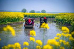 “只此泰州，我有新花漾”春季自驾游