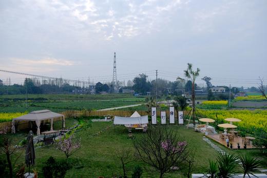 【崇州-370号民宿】2房/3房/4房/6房茶室民宿，有油菜花、草坪、稻田、麦田景观xxl 商品图4