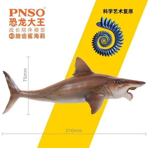 PNSO旋齿鲨海莉恐龙大王成长陪伴模型43 商品图1