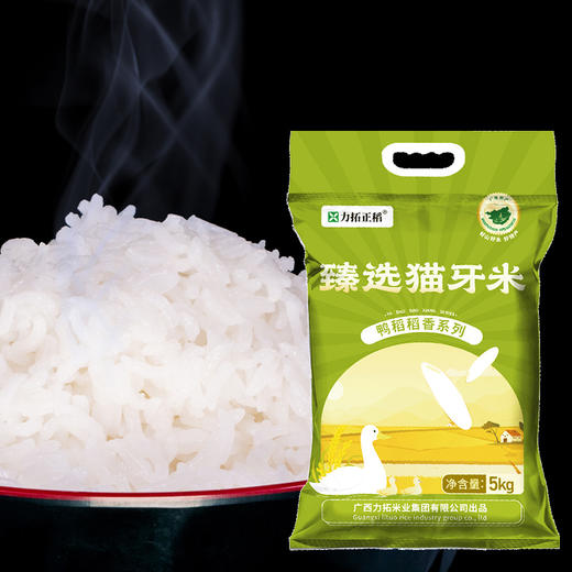【力拓正稻】臻选猫牙米5kg广西大米 商品图2