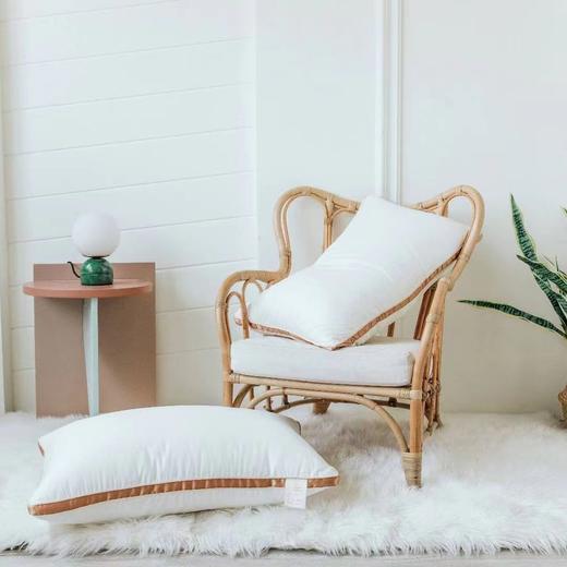 富丽岛家纺牛奶纤维枕 商品图3