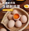 聼瀑崖 湖北硒都恩施山养含硒粉壳土鸡蛋/初生蛋 商品缩略图5