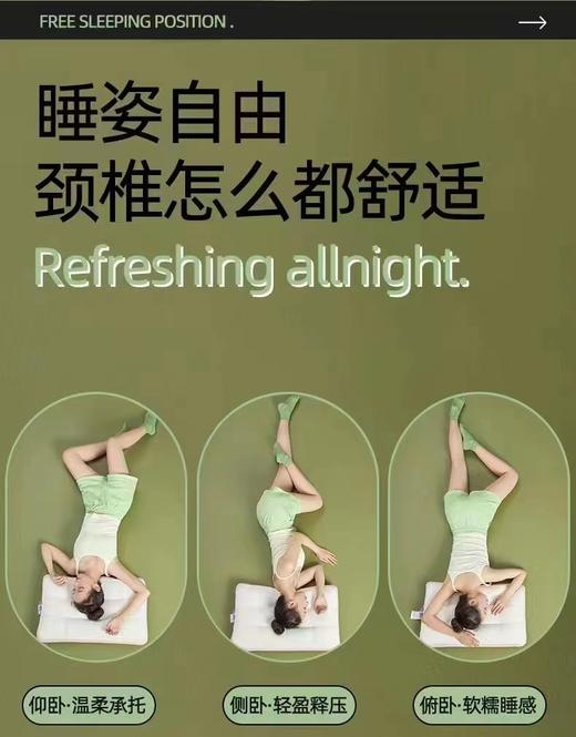 富丽岛家纺零卡无忧枕单只 商品图3