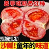 泾阳普罗旺斯水果西红柿  约4.5~5斤 商品缩略图0