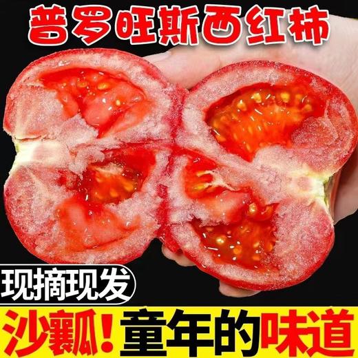 泾阳普罗旺斯水果西红柿  约4.5~5斤 商品图0