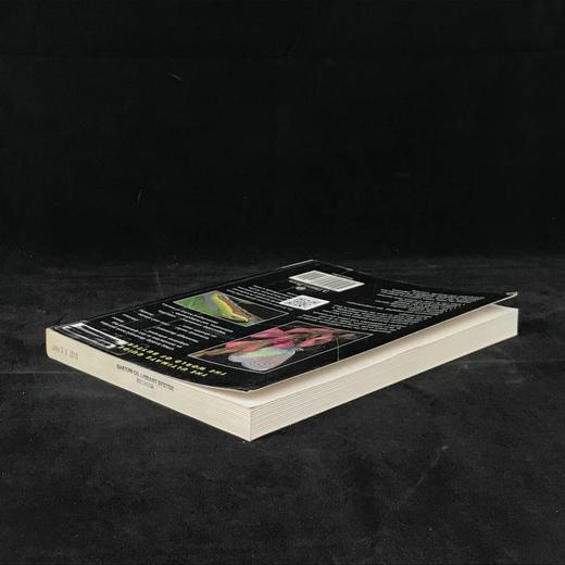 蝴蝶的世界 数百幅彩色插图 平装16开 商品图2